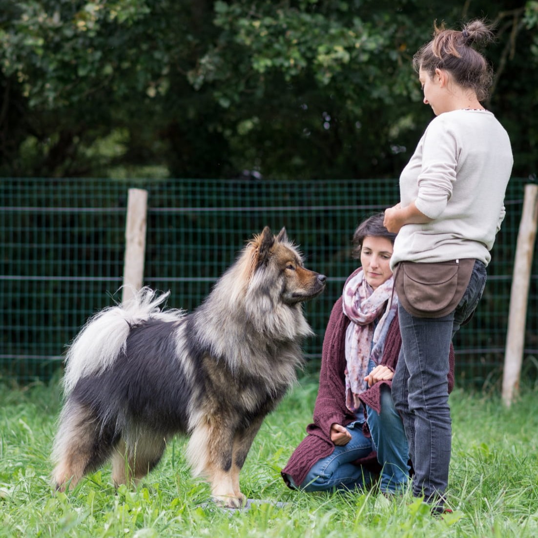 Céline et une de ses élèves de stage entraînant son Eurasier