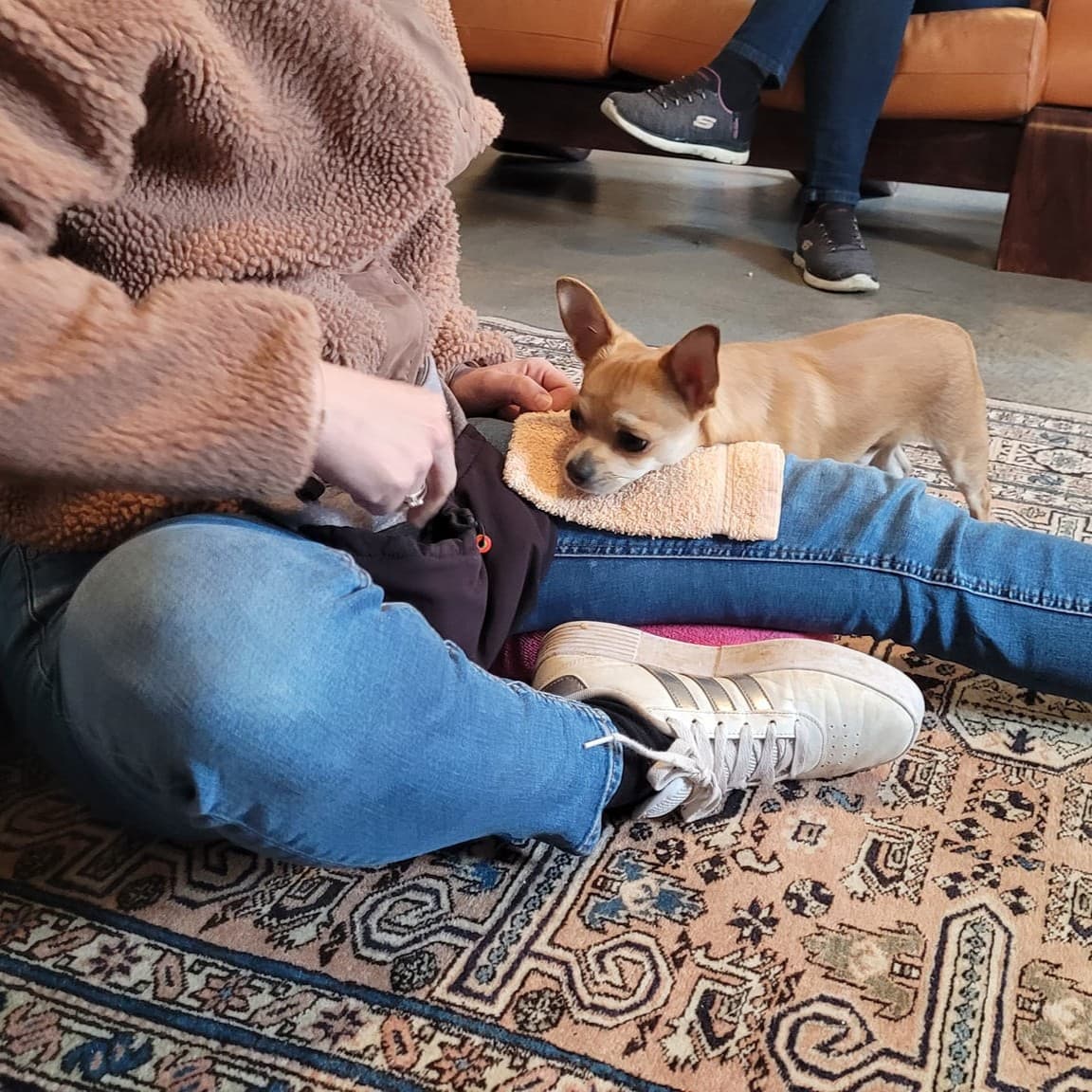 Une des élèves de stage assise au sol avec son chihuahua qui a la tête posée sur sa cuisse