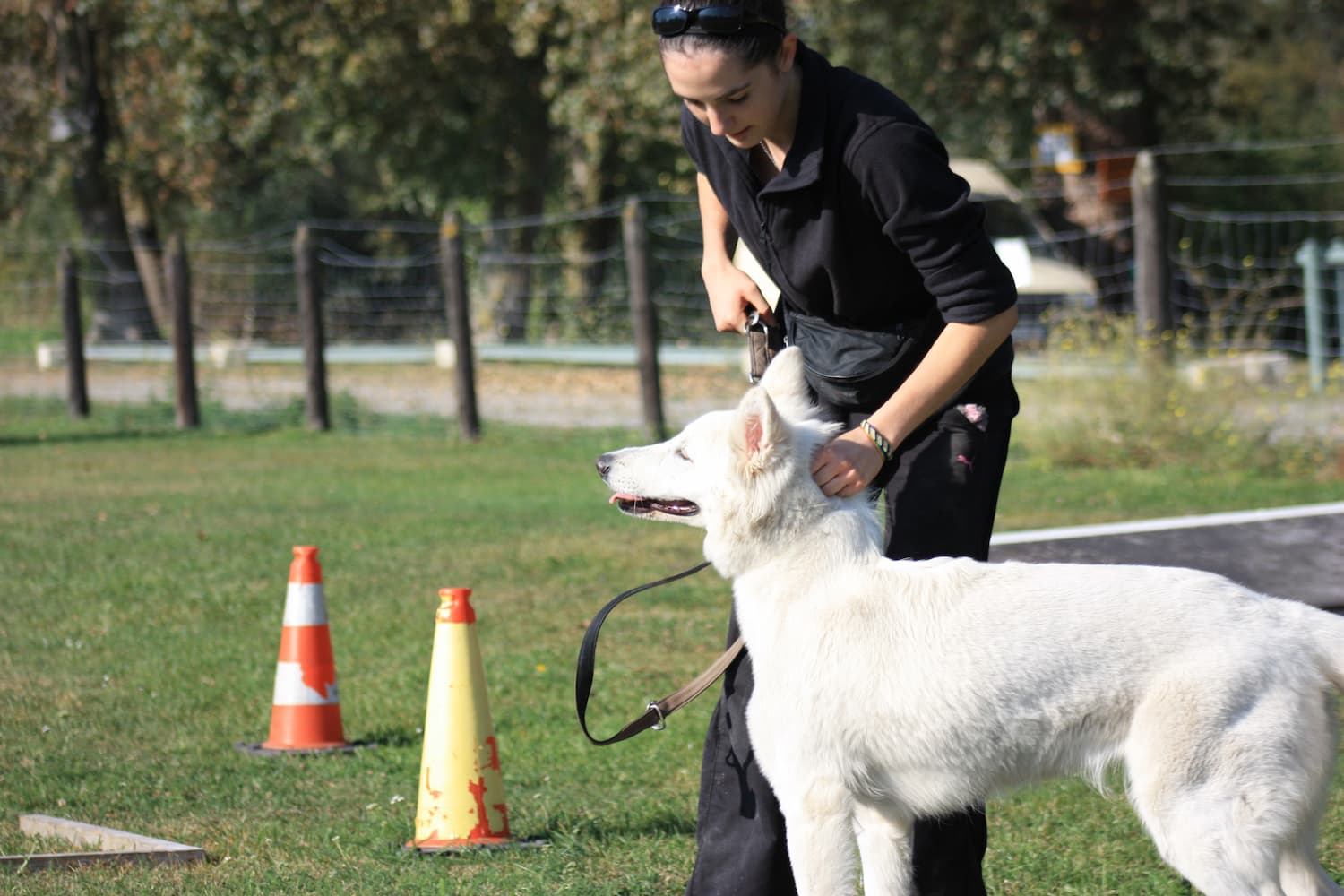 Céline qui se fâche sur Laska dans le club canin