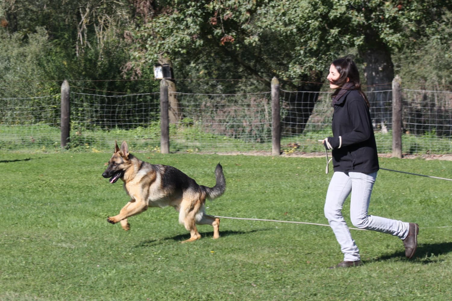 Céline en train de courir à côté d'un Berger Allemand qui apprenait le rappel