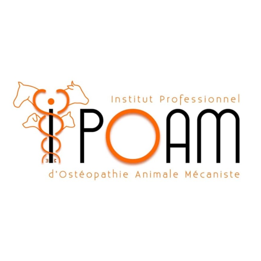 IPOAM
